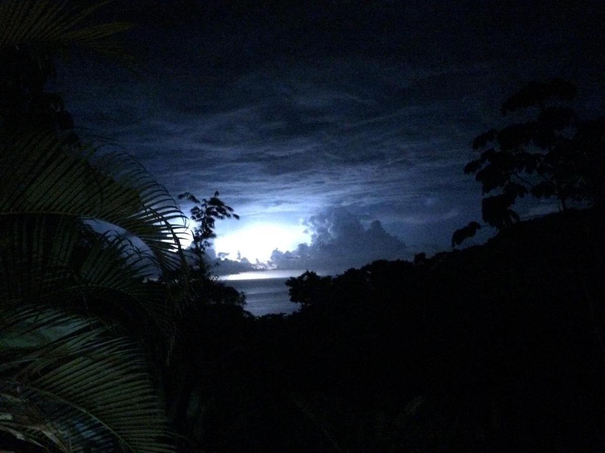 מלון Manuel Antonio Park House - Adults Only מראה חיצוני תמונה
