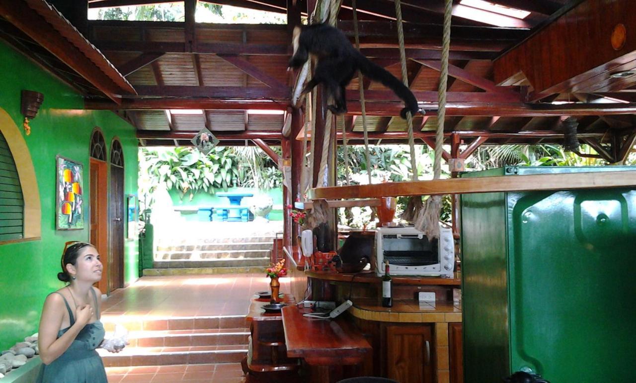 מלון Manuel Antonio Park House - Adults Only מראה חיצוני תמונה