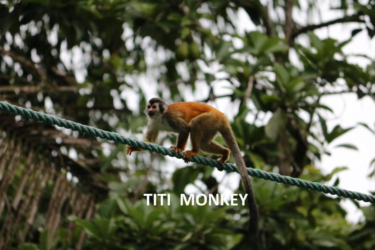 מלון Manuel Antonio Park House - Adults Only מראה חיצוני תמונה
