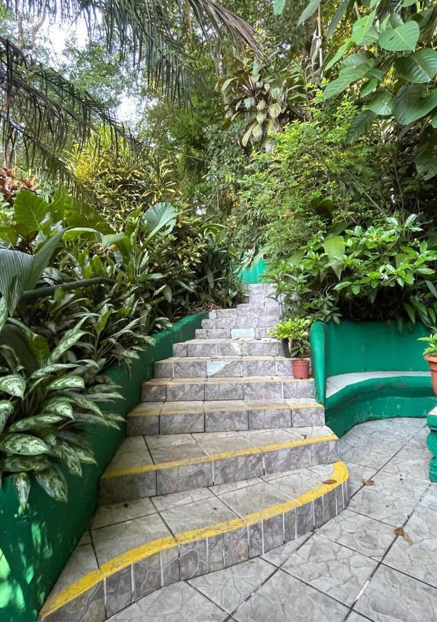 מלון Manuel Antonio Park House - Adults Only מראה חיצוני תמונה