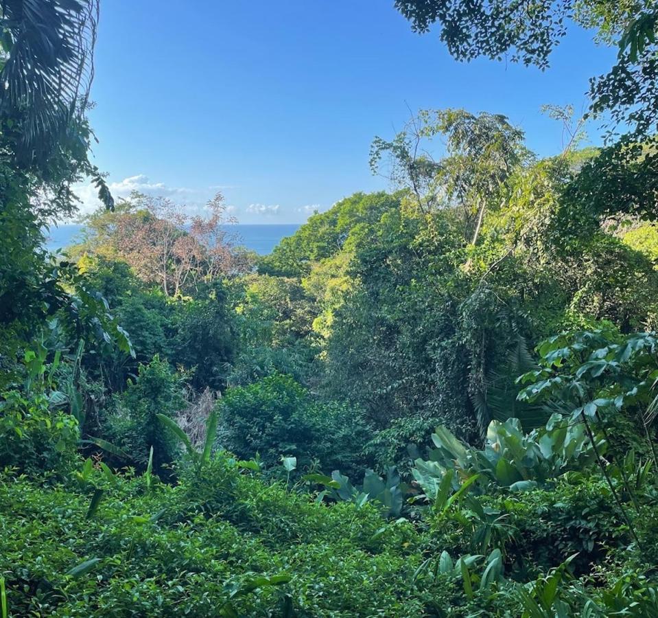 מלון Manuel Antonio Park House - Adults Only מראה חיצוני תמונה