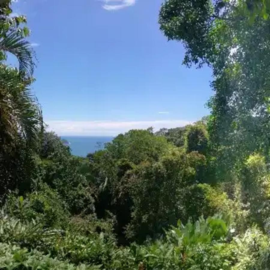 מלון Manuel Antonio Park House - Adults Only מראה חיצוני תמונה