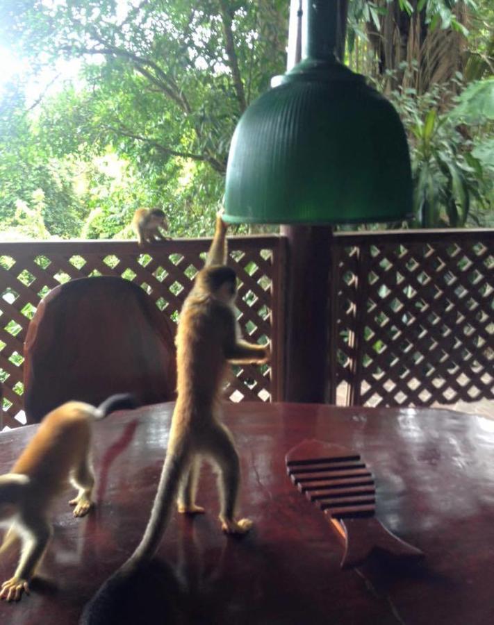 מלון Manuel Antonio Park House - Adults Only מראה חיצוני תמונה